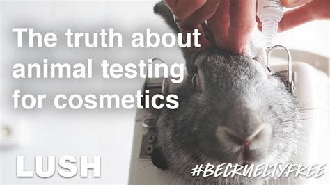 chanel perfume animal testing.